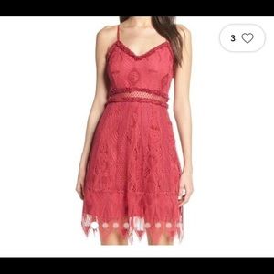 Foxiedox Anthropologie Gloria Lace Mini Scalloped Hem Cocktail Dress Sz S-NWT